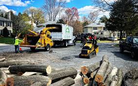 Best Firewood Processing and Delivery  in Rossmoor, CA
