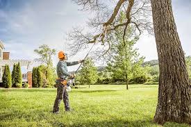 Best Hazardous Tree Removal  in Rossmoor, CA